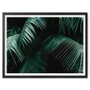 Póster Botánica tropical