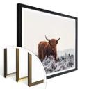 Plakat van den Helm - Highlander