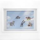 Cuadro de ventana Gatos bebé reales Set 02
