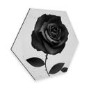 Hexagone - Alu-Dibond Ireland - Fabric Rose