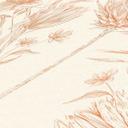 tapet med tegnede blomster hvid beige - non-woven tapet blomstret med blomster