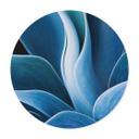 Póster Wechsler - Plantas Naturaleza Muerta Agave - Redondo