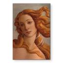 Geborsteld Alu-Dibond met goud-, zilver- & kopereffect - Portret van Venus - Botticelli