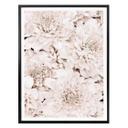 Plakat - 1X Studio - Apricot Aster