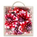 Cuadro de madera flores rojas - 40x41,5 cm