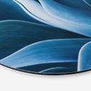 Tableau sur alu-Dibond rond Wechsler - Plantes d'agave 