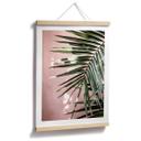 Póster hoja de palmera delante de pared rosa - Böhmer