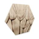 Hexagone - Bois Parapluie d'aviateur