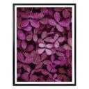 Poster - Feuilles roses
