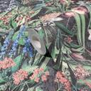 Tapet, non-woven blomstertapet Flora sort, grøn