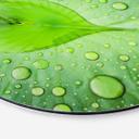 Tableau sur alu-Dibond rond Foto - Cœur de goutte d'eau sur feuille verte