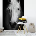 Fototapet White Horse - 144x260 cm