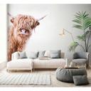 Livingwalls papier peint photo ARTist Highland Cattle beige, marron, blanc