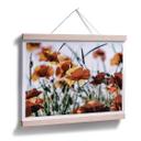 Póster Amapolas en el campo