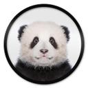 Póster Sisi & Seb - Panda bebé - Redondo