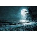 Architects Paper Papier peint photo Atelier 47 Beach at Night avec lune