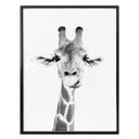 Plakat - Sisi & Seb - Happy Giraffe