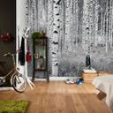 Fotobehang Vliesbehang Woods
