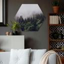 Hexagon Dibond Mistig Bos