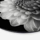 Tableau sur alu-Dibond Grønkjær - Dahlia - Rond