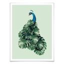 Plakat - Loose - Monstera Bird