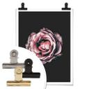 Póster Premium Flor Rosa Sueño 02