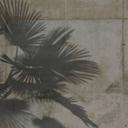 ShadeOfPalm2 i grågrøn - non-woven tapet Designwalls 2 - 2,55 x 3,5 m