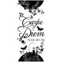 Sticker mural - Bordure Carpe Diem