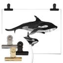 Póster Goed Blauw - Ballenas Orca