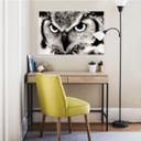 Zelfklevende Poster Trotse Uil