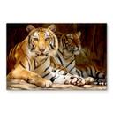 Tableau en verre - Deux tigres du Bengale