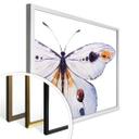 Póster Kvilis - Mariposa 01