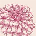 Fototapet - Blomsterillustration