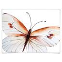 Póster Kvilis - Mariposa 04