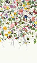 Fototapet Farverig blomstereng med sommerfugle og bær vintage 2,7 x 1,59 m