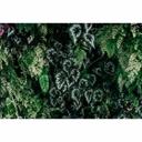 Fotomural Paredes de Patel 3 Deep Green 2 verde