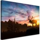 Canvasbillede, Hjort ved solnedgang
