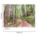 non-woven tapet Designwalls i brun og grøn non-woven tapet ForestWalk natur træ