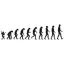 Evolution
