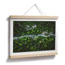 Póster Murko - Madre Naturaleza