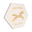 Hexagon Dibond Bodart - Unicorns are Real