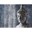 Blå og grå non-woven tapet Designwalls AsianCulture Buddha