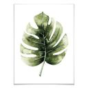 Plakat - Kvilis - Monstera leaf