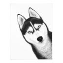 Póster Husky siberiano - retrato de perro - Korenkova