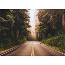 Brunt og grønt non-woven tapet Designwalls road trip natur landskab