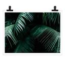 Póster Botánica tropical