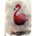 Livingwalls papier peint photo ARTist Flamingo beige, grau
