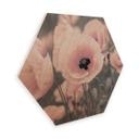 Hexagone - Placage bois de bouleau Delgado - Coquelicot rose