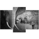 3 stykke lærredsprint Elefant sort og hvid