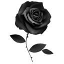 Sticker mural Ireland - Fabric Rose